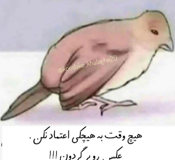 خوابم نميبره عکس بی خوابی طنز