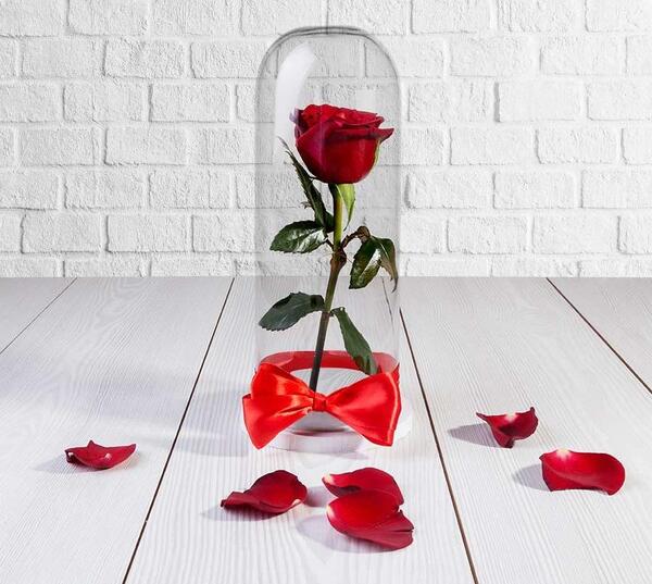 تعبیر خواب عکس گل رز