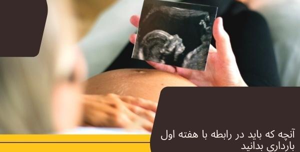 عکس سوتی های دوران بارداری نی نی سایت