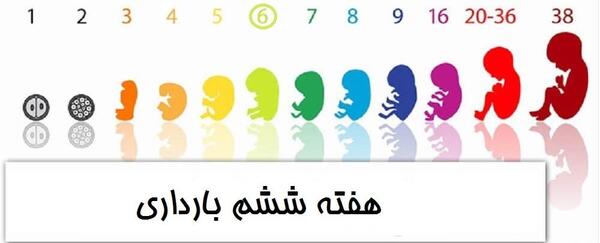 عکس سوتی های دوران بارداری نی نی سایت