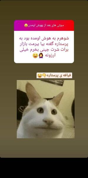 عکس سوتی های خنده دار جدید نی نی سایت