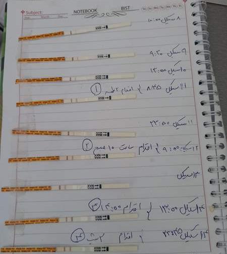 عکس مثبت شدن کیت تخمک گذاری نی نی سایت