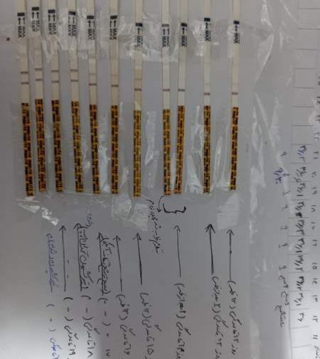 عکس مثبت شدن کیت تخمک گذاری نی نی سایت