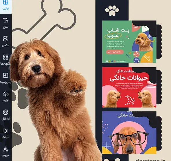 عکس برای هایلایت اینستا سگ