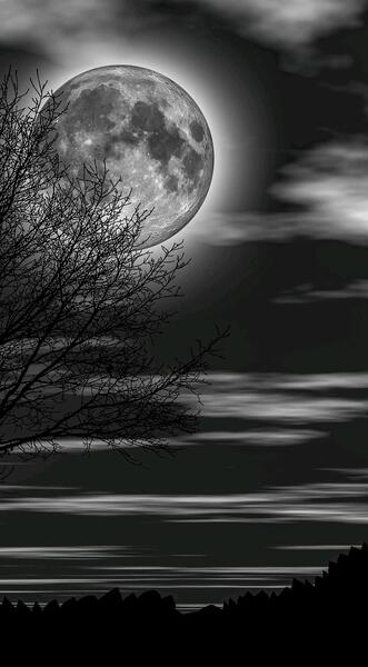 عکس نور در تاریکی