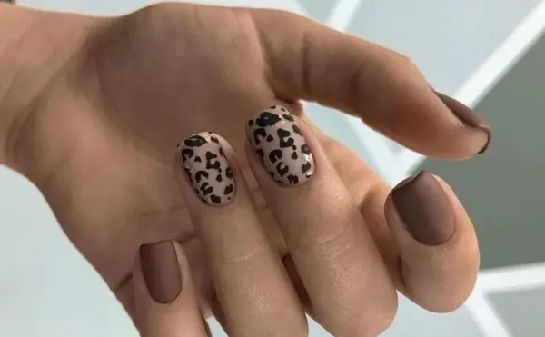 عکس ژلیش ناخن نود