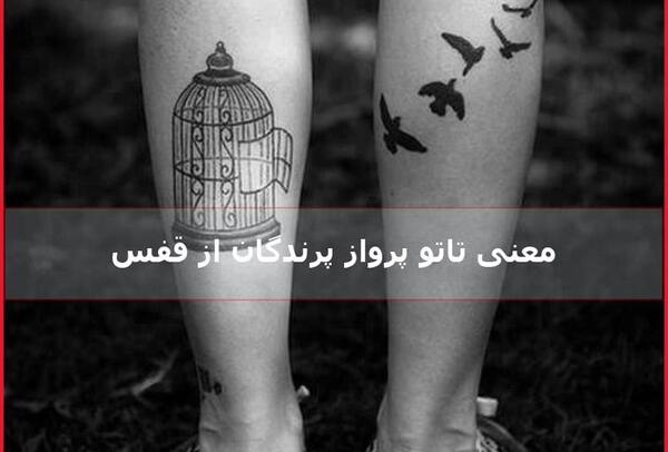 عکس تاتو عقاب نماد چیست