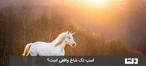 عکس اسب تک شاخ و بالدار واقعی