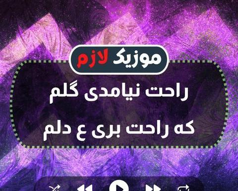 عکس اهنگ مه لکم عقاب تو فلکم