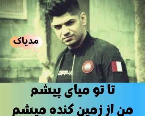 عکس اهنگ مه لکم عقاب تو فلکم
