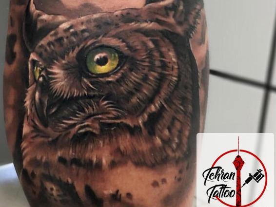 عکس معنی تاتو کله عقاب