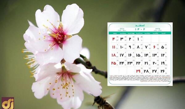 عکس تقویم ماه رمضان سال ۱۴۰۲