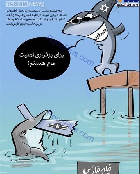 عکس کوسه دریای خلیج فارس