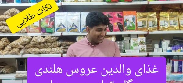 عکس عروس هلندی که تازه به دنیا آمده