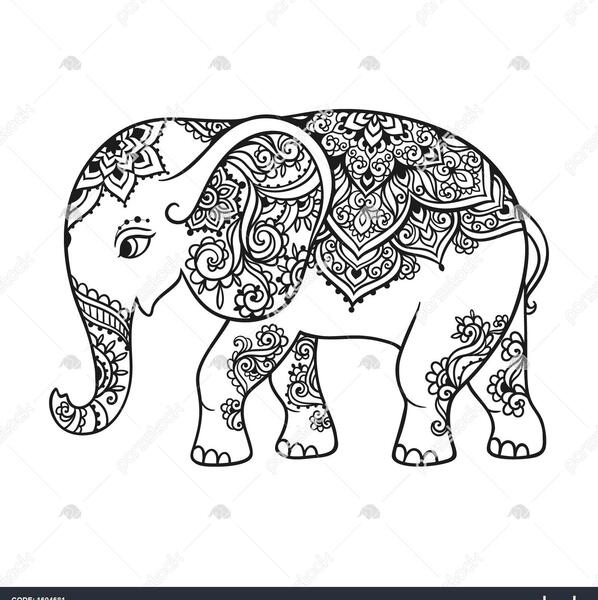 عکس کتاب فیل سفید