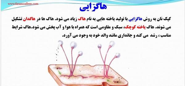 توليد مثل عکس های درس 8 علوم هشتم
