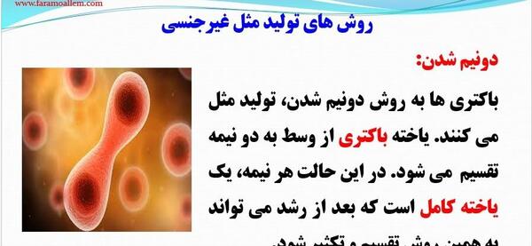 توليد مثل عکس های درس 8 علوم هشتم