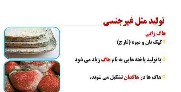 توليد مثل عکس های درس 8 علوم هشتم