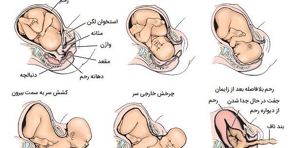 توليد مثل عکس های داخل کتاب علوم هشتم