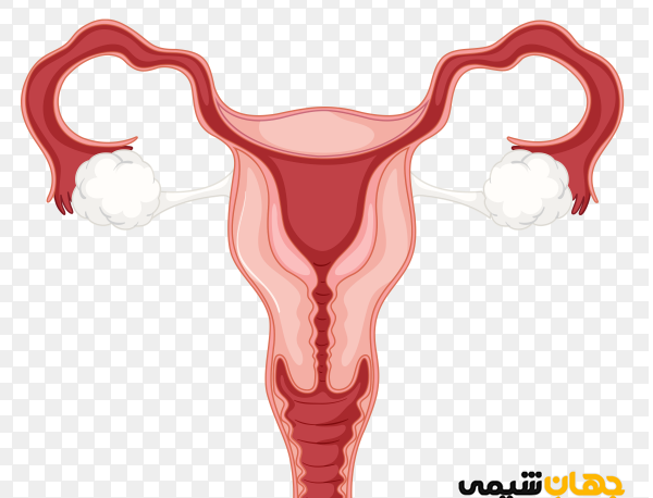 توليد مثل عکس های داخل کتاب علوم هشتم