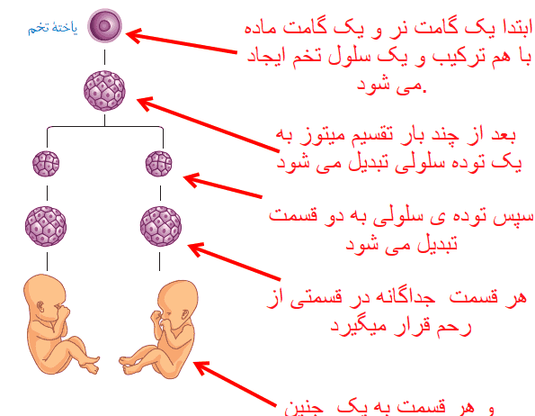 توليد مثل عکس های داخل کتاب علوم هشتم