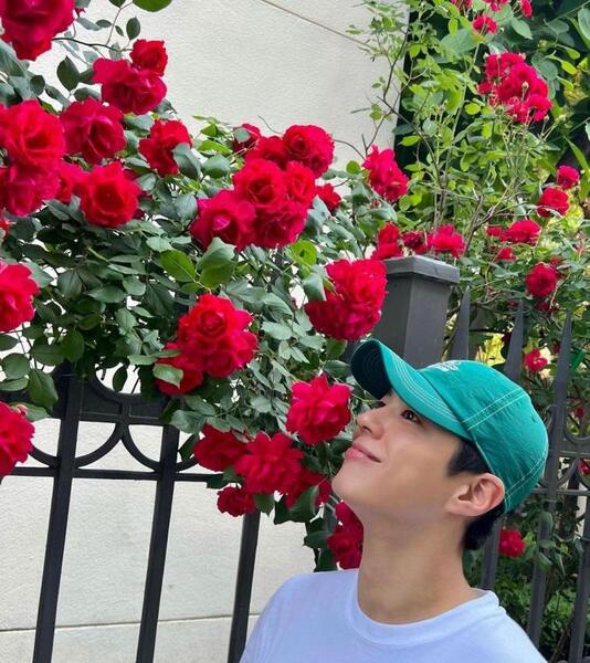 عکس پارک بوگوم و تهیونگ