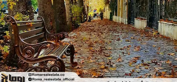 عکس از خیابان ارم شیراز