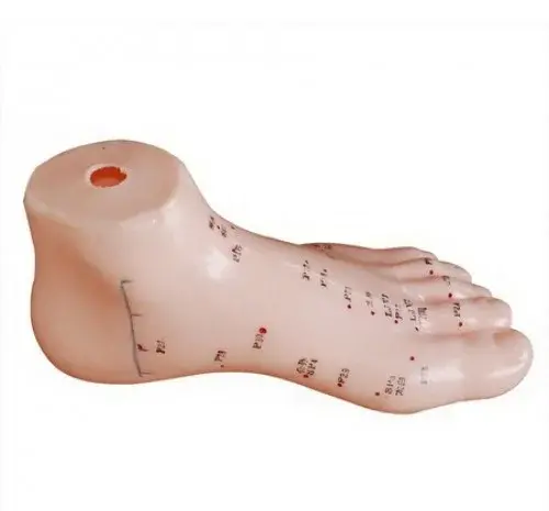 عکس طب سوزنی پا