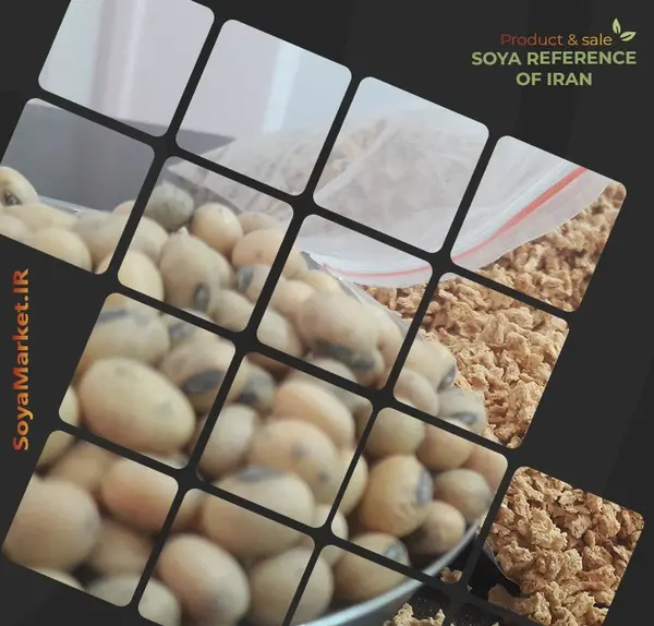 عکس دانه ی سویا