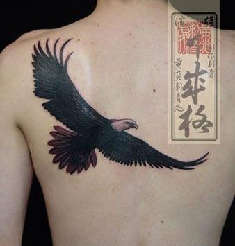 عکس تاتوی عقاب روی کمر