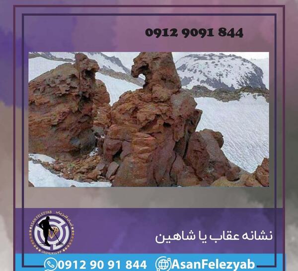 عکس تاتوی عقاب نماد چیست