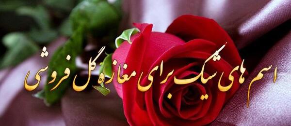 عکس گل سولین