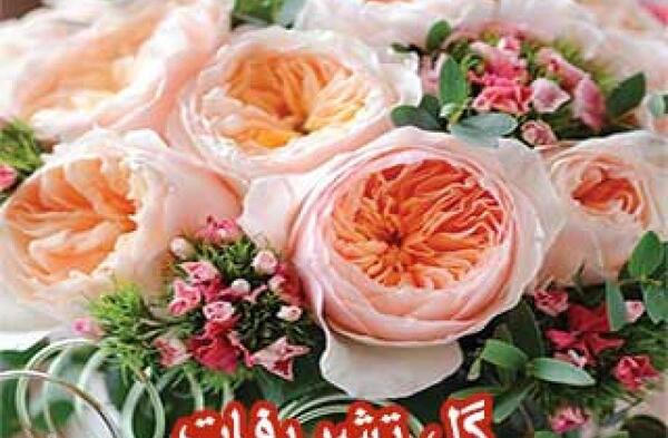 عکس گل سولین