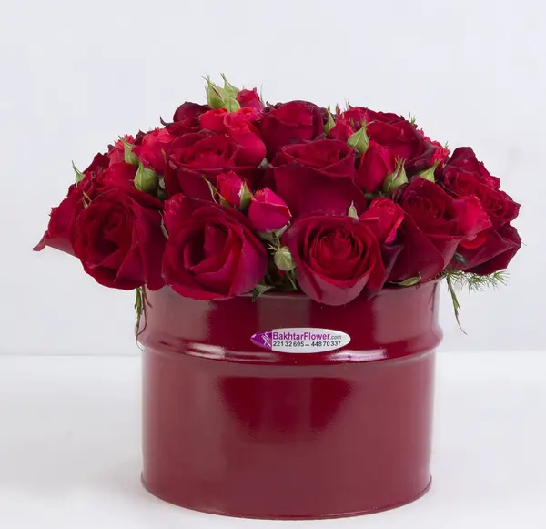 عکس گل سولین