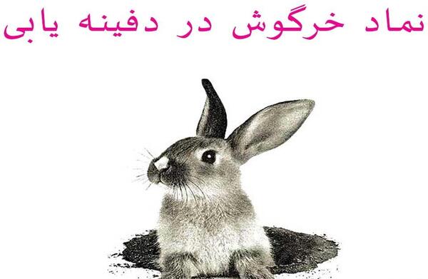 عکس معنی لوگوی خرگوش