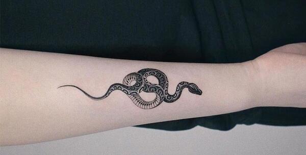 عکس تاتو مار روی دست دختر