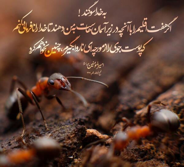 عکس نوشته در مورد ظلم