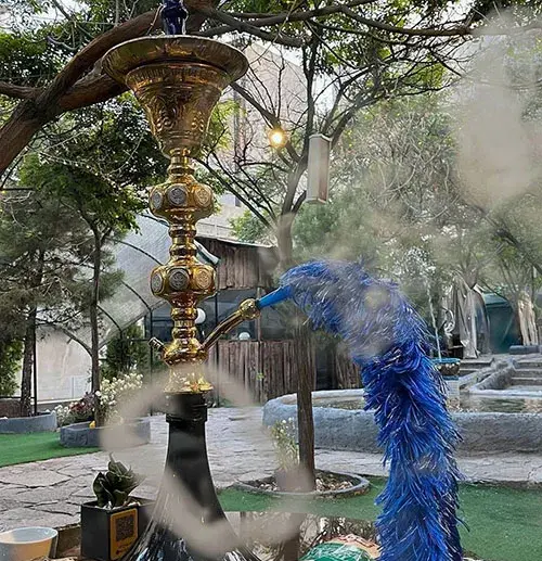 عکس کافه طرقبه مشهد
