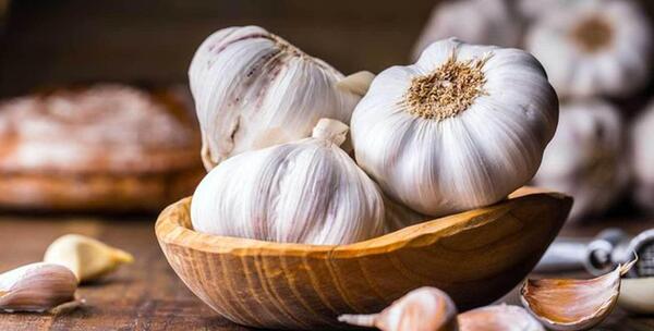 عکس کرم در مدفوع نی نی سایت