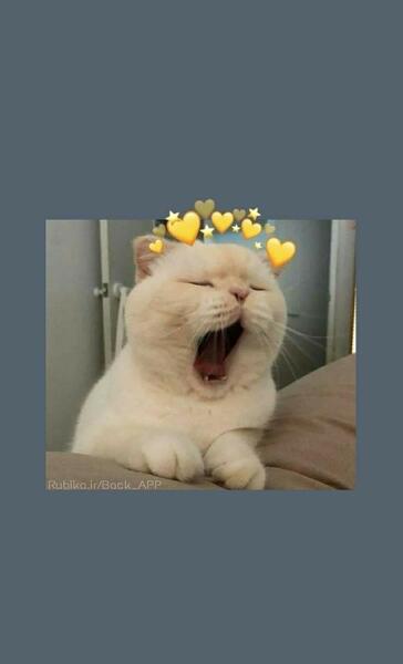 عکس مود برای بک گراند