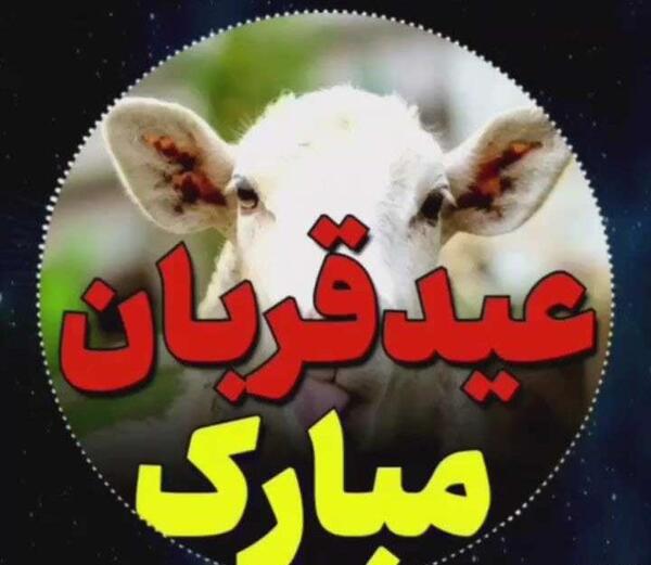 عکس طنز برای عید قربان