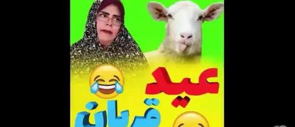 عکس طنز برای عید قربان