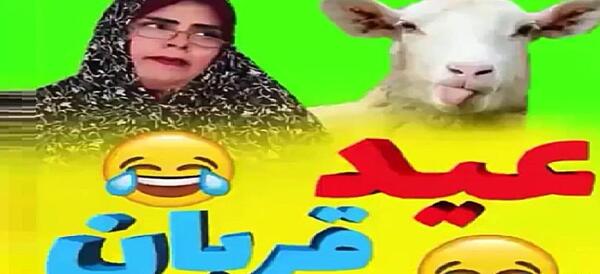 عکس طنز برای عید قربان