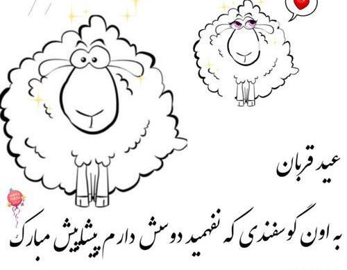 عکس طنز تبریک عید قربان