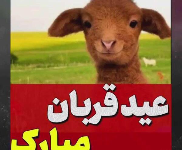 عکس برای کلیپ عید قربان
