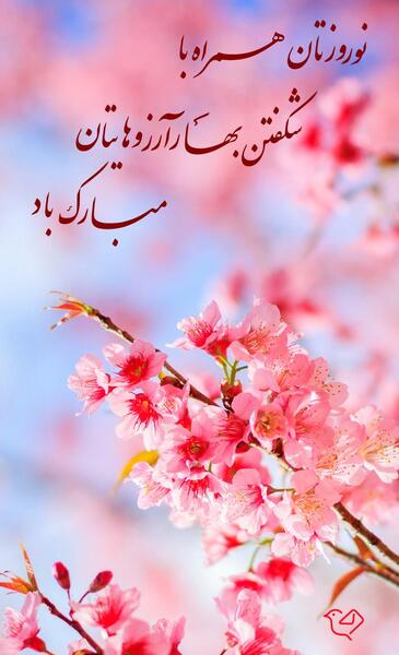 عکس نوشته امسال عید ندارم
