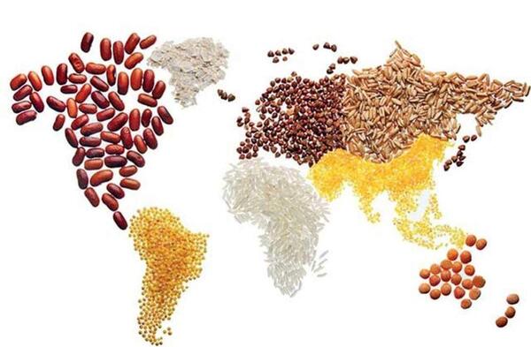 عکس تصاویر روز جهانی غذا