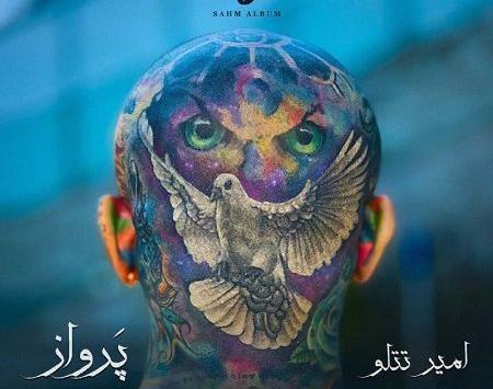 عکس کل تتو های امیر تتلو