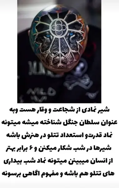 عکس معنی تتو های امیر تتلو