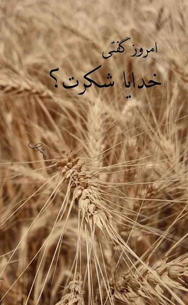 عکس تصویر پس زمینه خدایا شکرت
